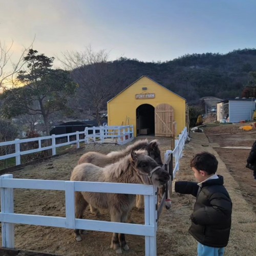아내의정원