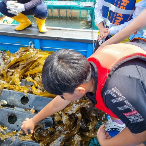 메이저수산