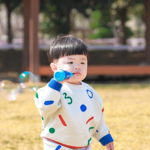 바다곰